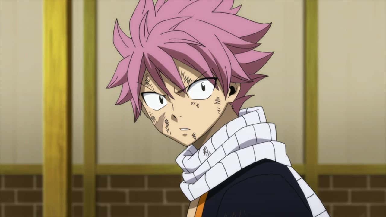 Fairy Tail 8. Sezon 40. Bölüm kapak