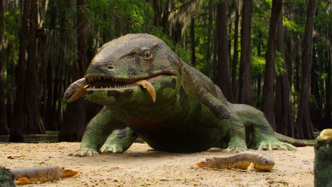 Gezegenimizde Yaşam 1. Sezon 1. Bölüm kapak