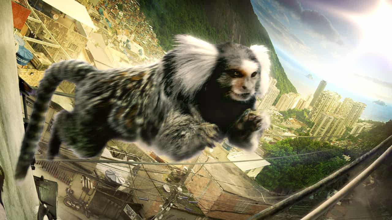 3. Bölüm