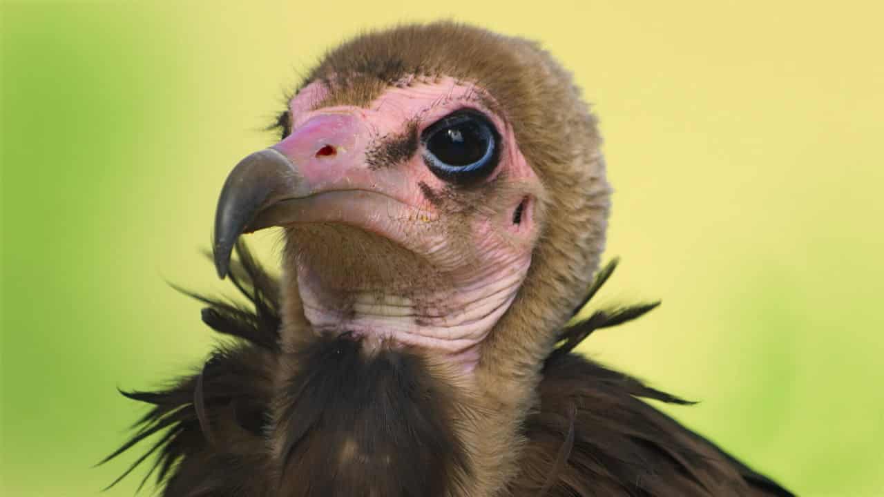 2. Bölüm