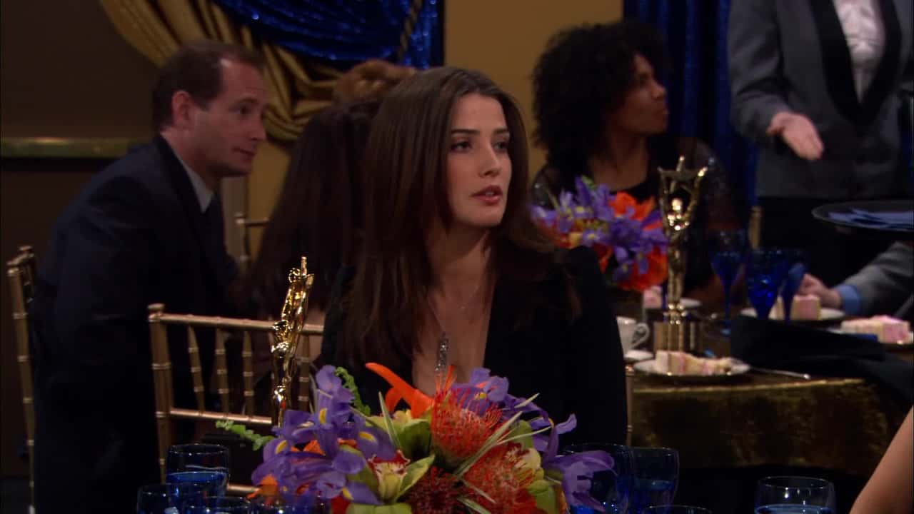 How I Met Your Mother 1. Sezon 19. Bölüm kapak