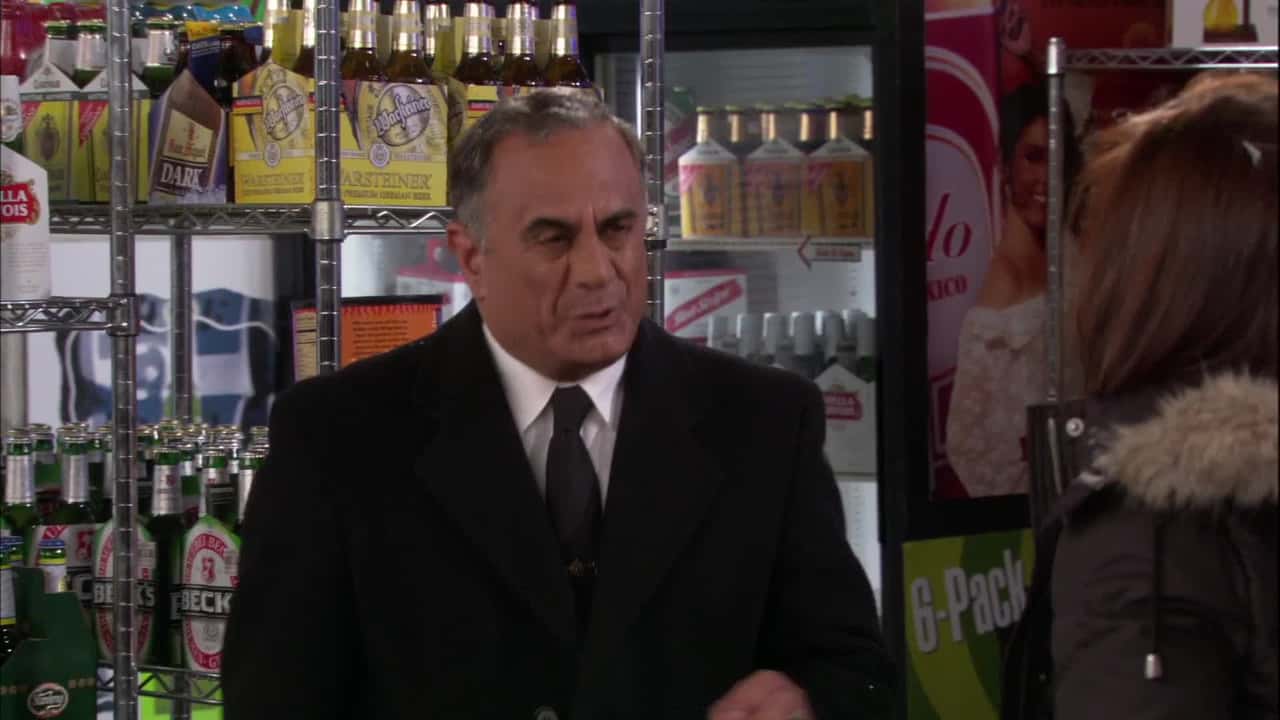 How I Met Your Mother 4. Sezon 13. Bölüm kapak