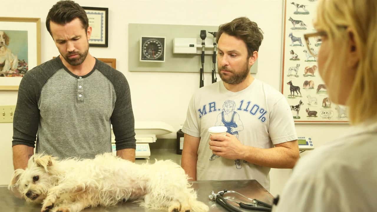 It's Always Sunny in Philadelphia 14. Sezon 9. Bölüm kapak