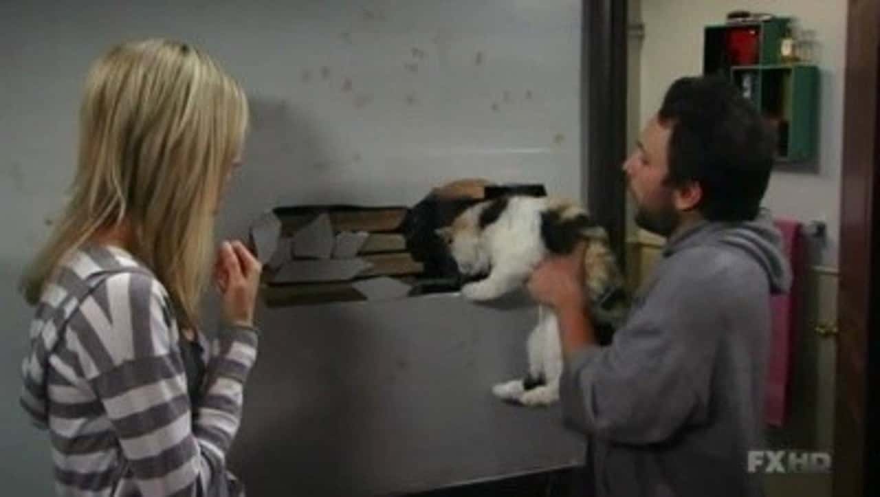 It's Always Sunny in Philadelphia 5. Sezon 9. Bölüm kapak