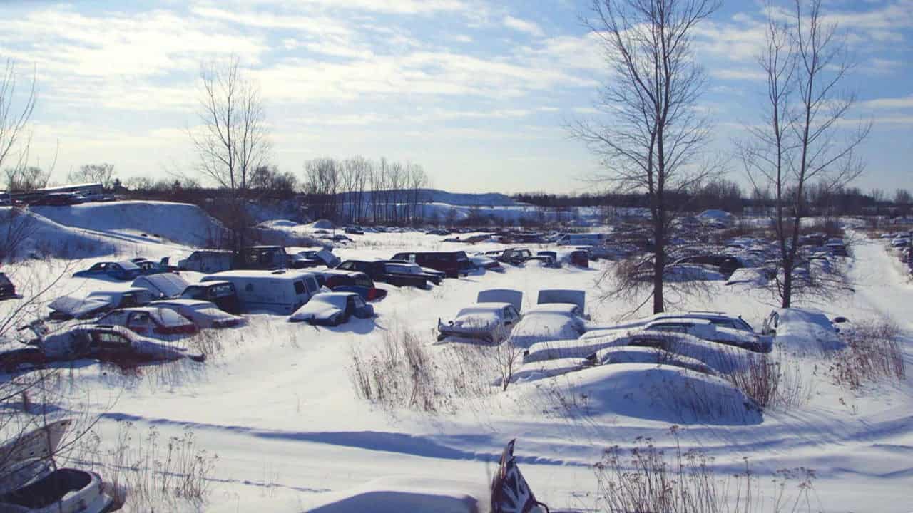 5. Bölüm