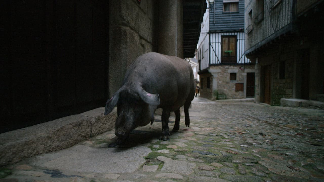 5. Bölüm