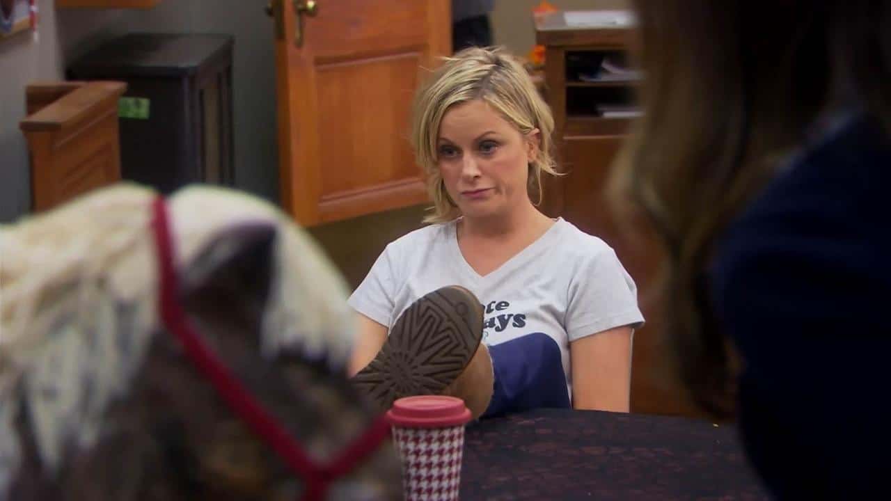 Parks and Recreation 6. Sezon 6. Bölüm kapak