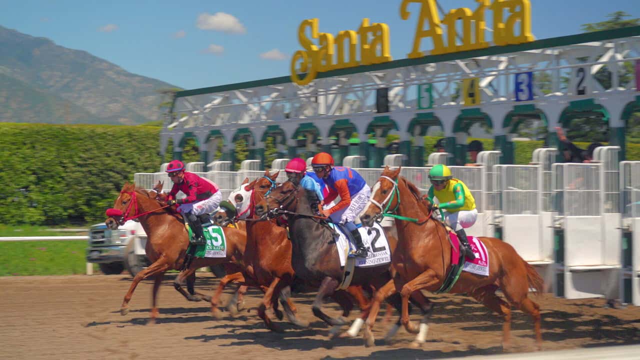 Race for the Crown 1. Sezon 1. Bölüm kapak