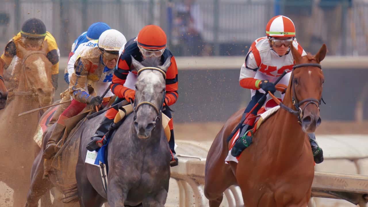 Race for the Crown 1. Sezon 4. Bölüm kapak
