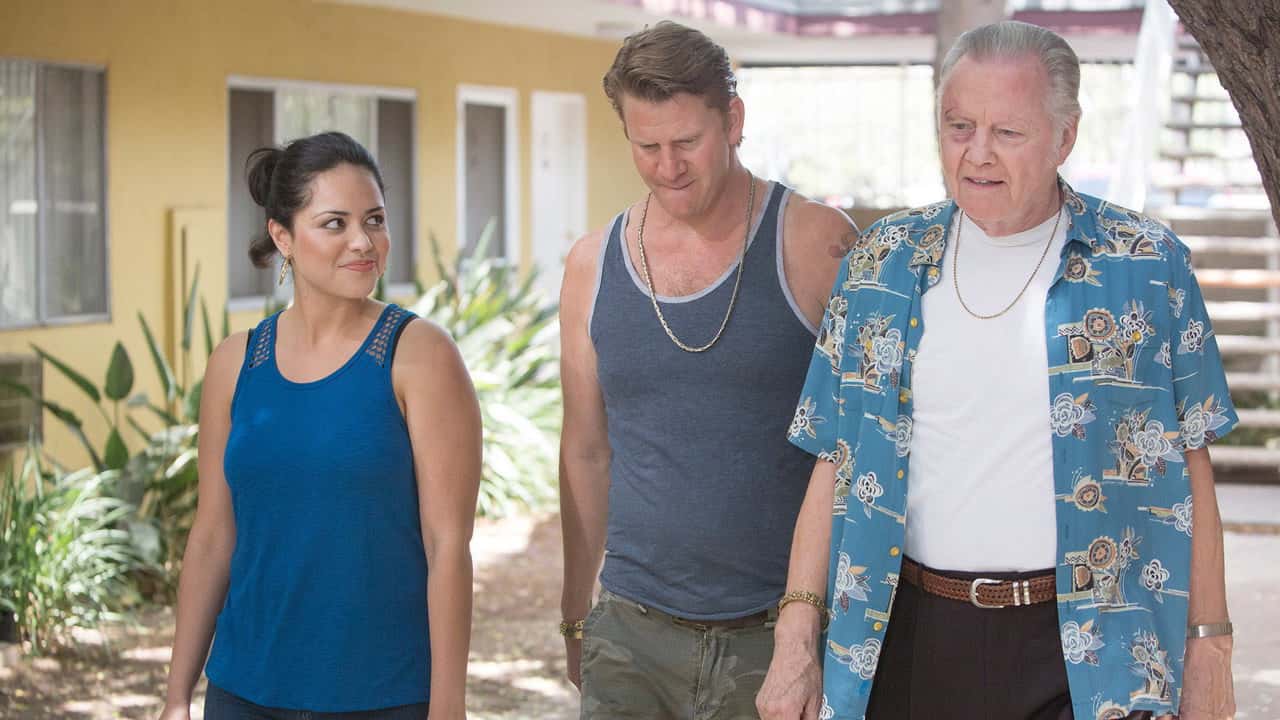 Ray Donovan 3. Sezon 11. Bölüm kapak