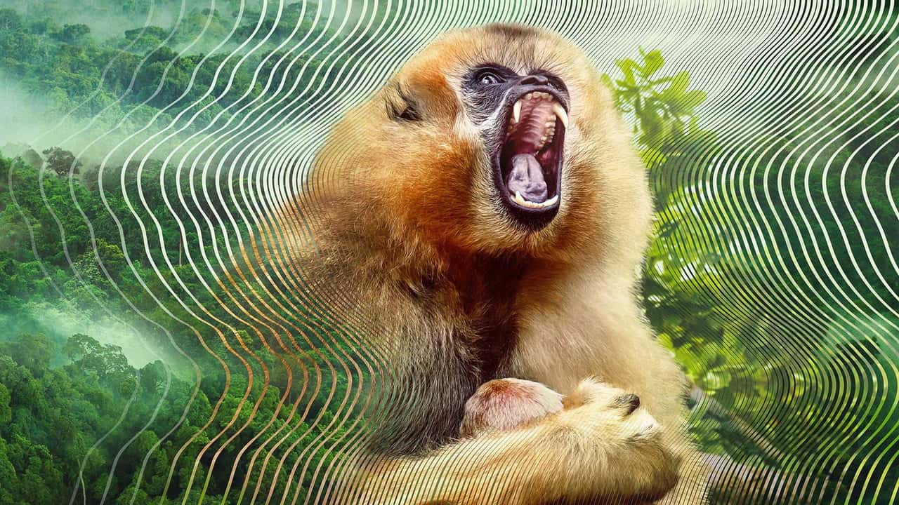Secret World of Sound 1. Sezon 2. Bölüm kapak
