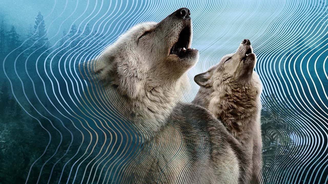 Secret World of Sound 1. Sezon 3. Bölüm kapak