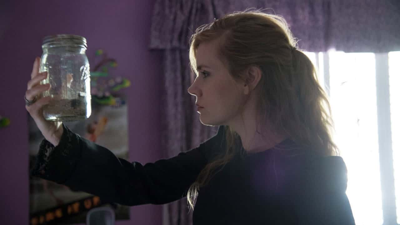 Sharp Objects 1. Sezon 2. Bölüm kapak