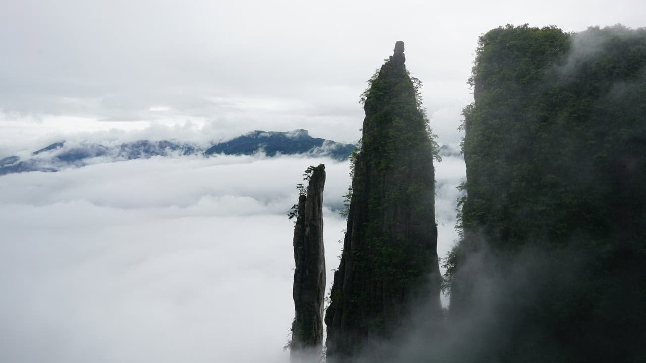 7. Bölüm