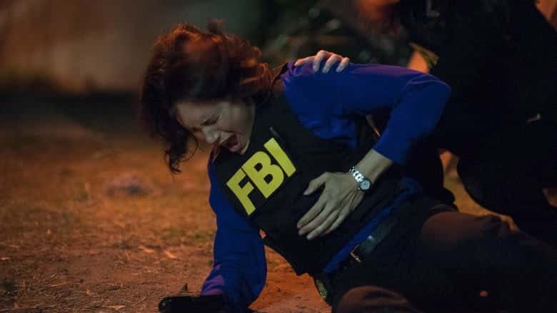 The Mentalist 6. Sezon 20. Bölüm kapak