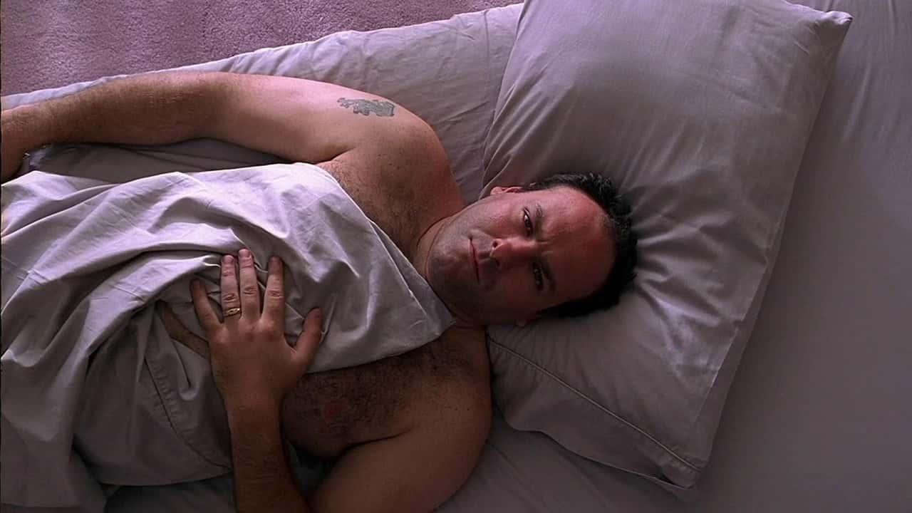 The Sopranos 1. Sezon 1. Bölüm kapak