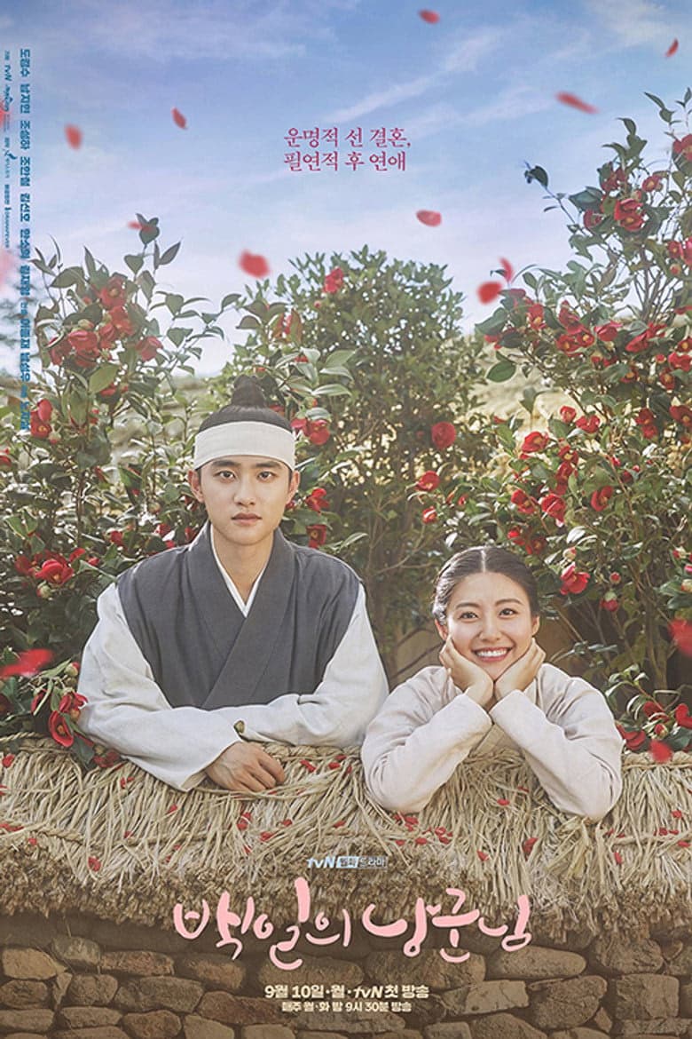100 Days My Prince 1. Sezon Posteri