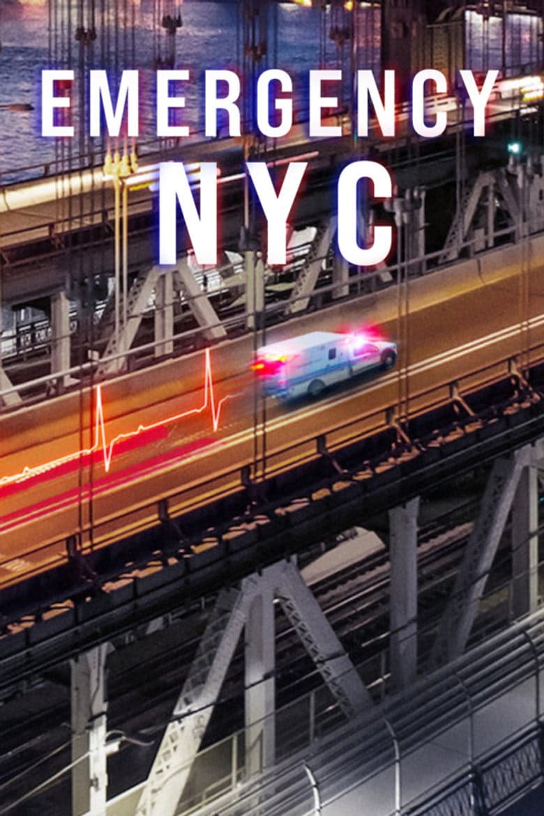 Acil Durum: New York 1. Sezon Posteri