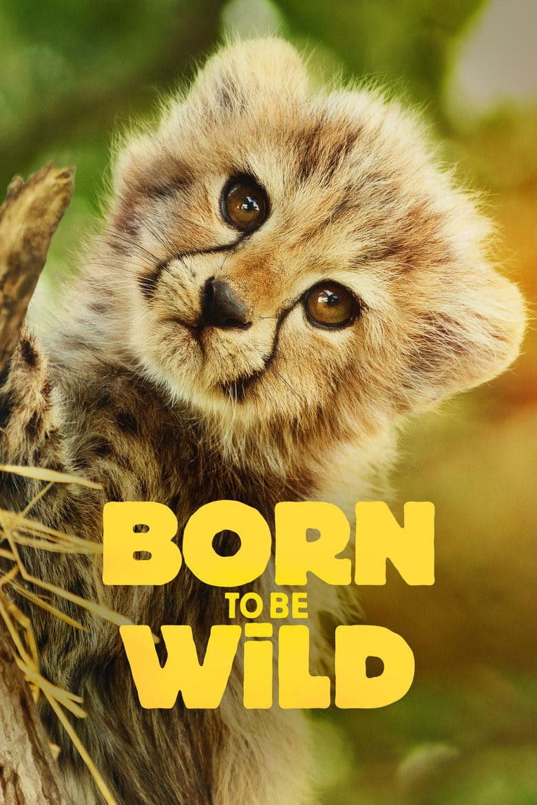 Born to Be Wild 1. Sezon Posteri