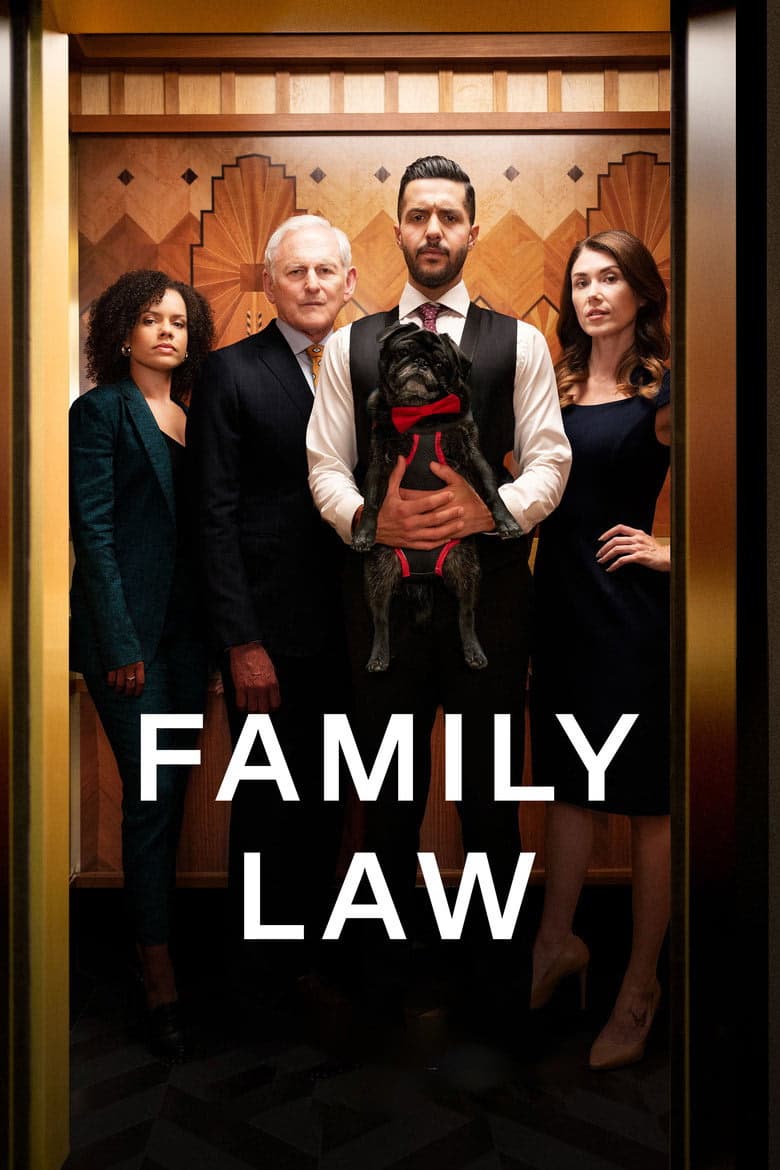 Family Law 4. Sezon Posteri