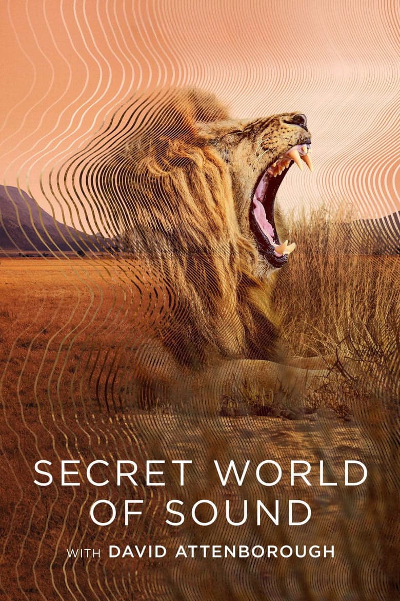 Secret World of Sound 1. Sezon Posteri