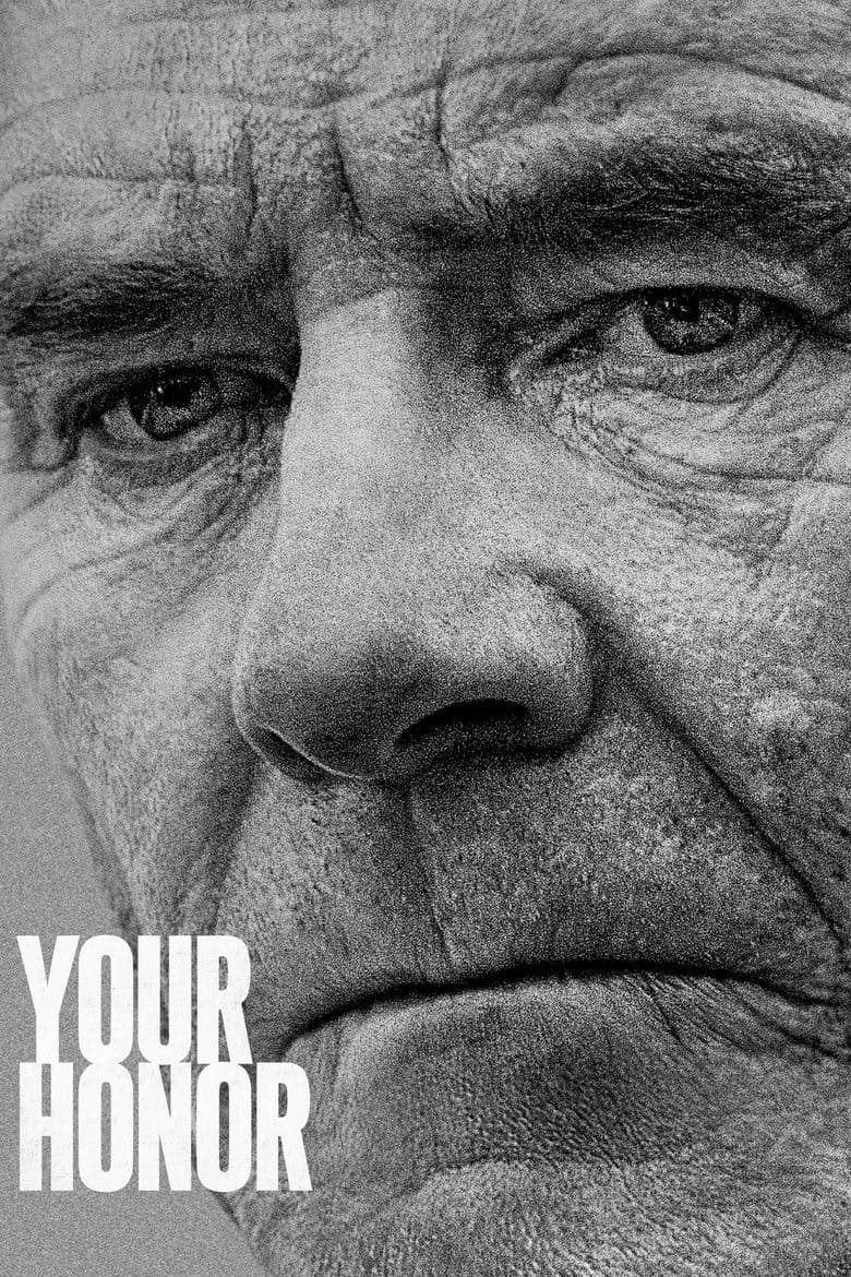 Your Honor 1. Sezon Posteri