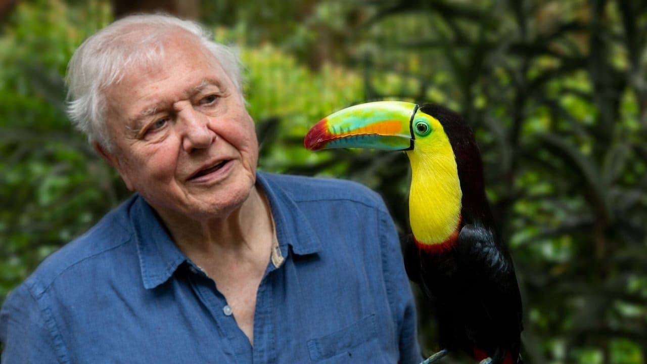 David Attenborough ile Yaşamın Renkleri arka plan