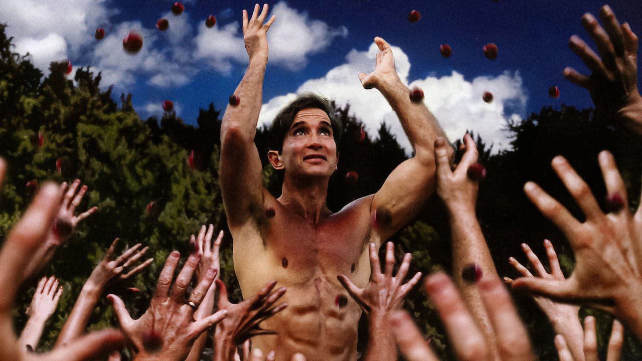 How to Become a Cult Leader arka plan