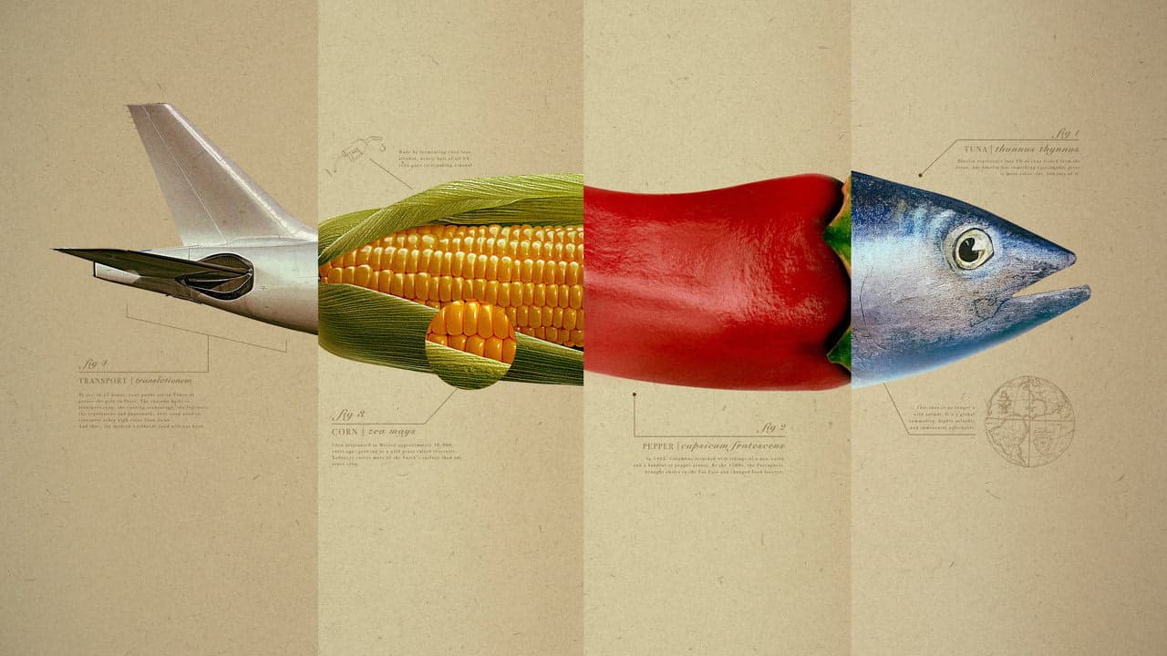 Omnivore arka plan