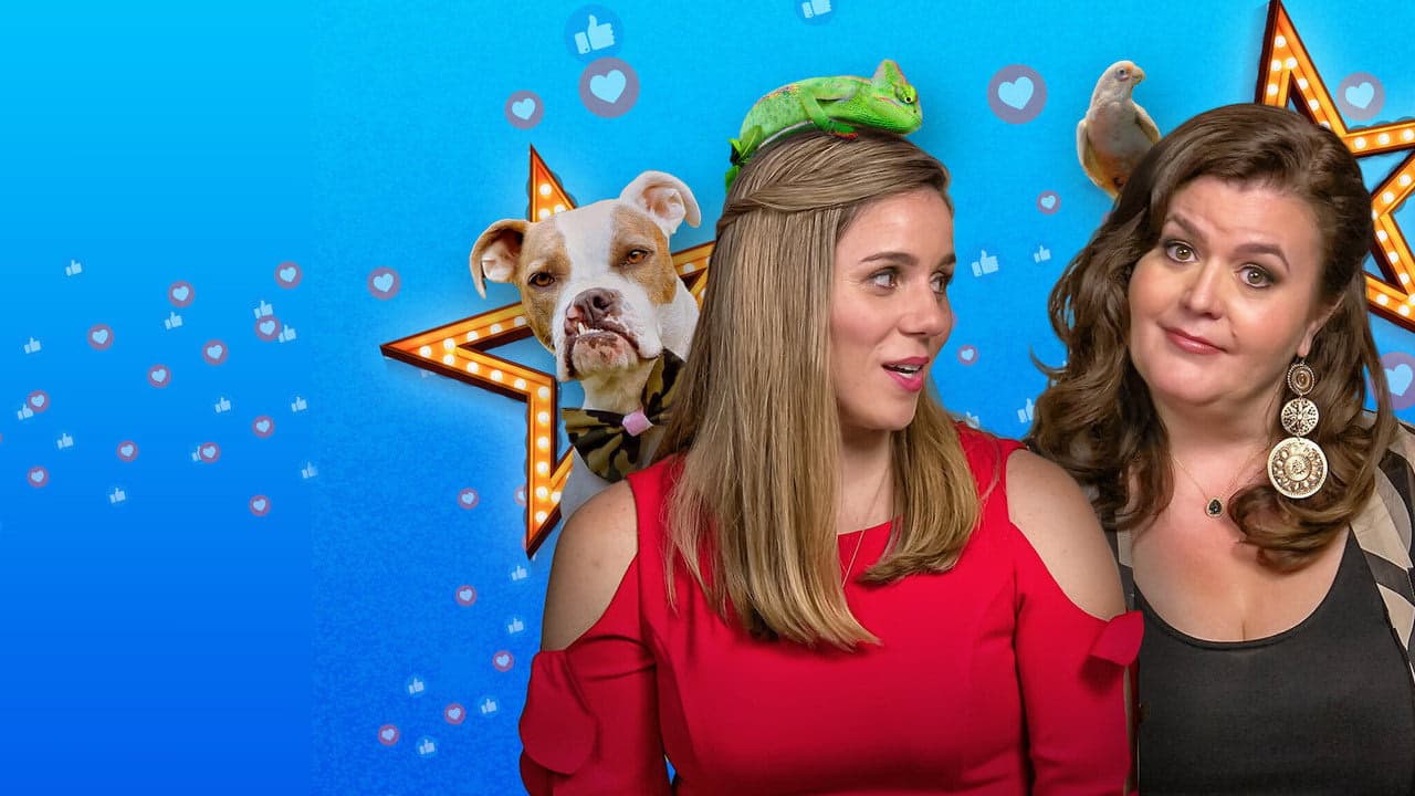 Pet Stars arka plan