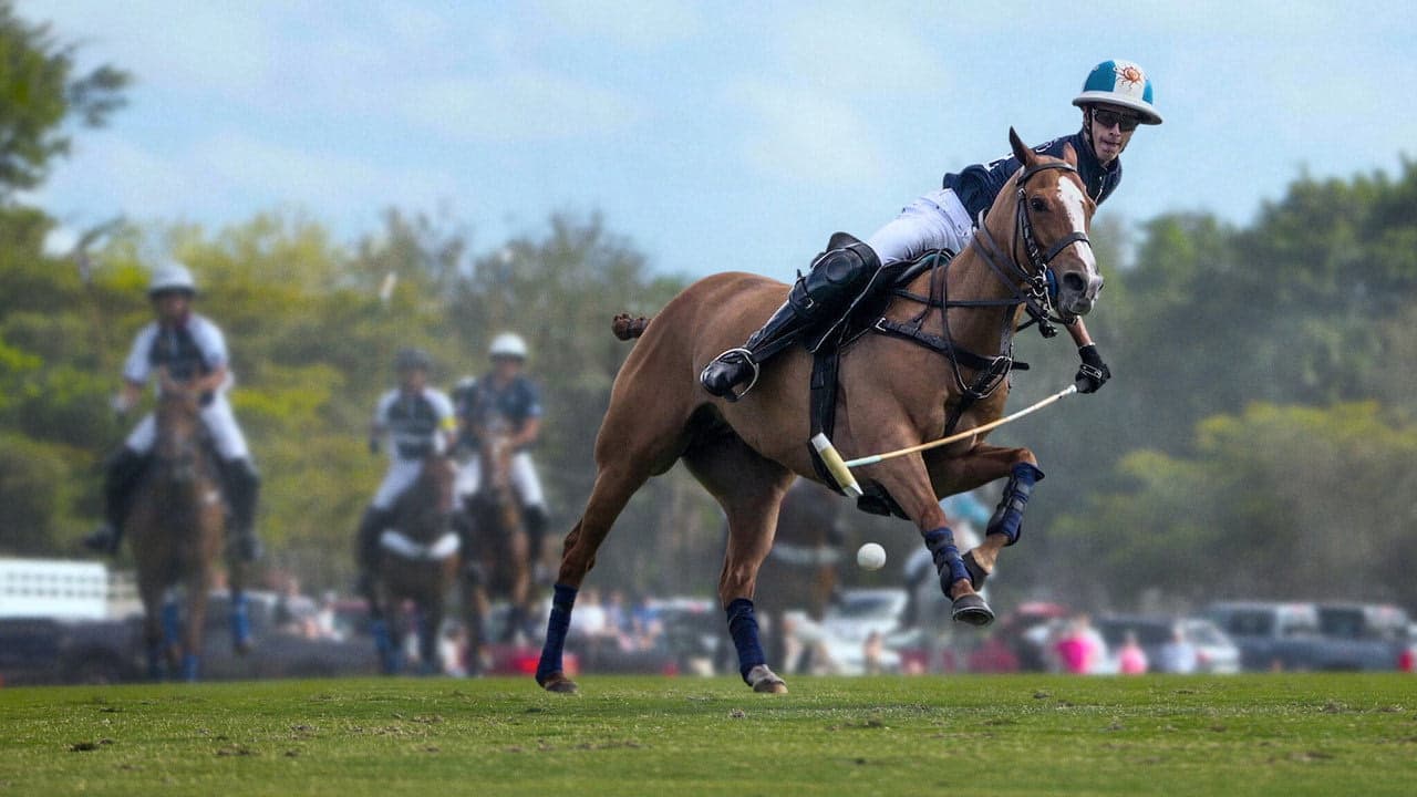Polo arka plan
