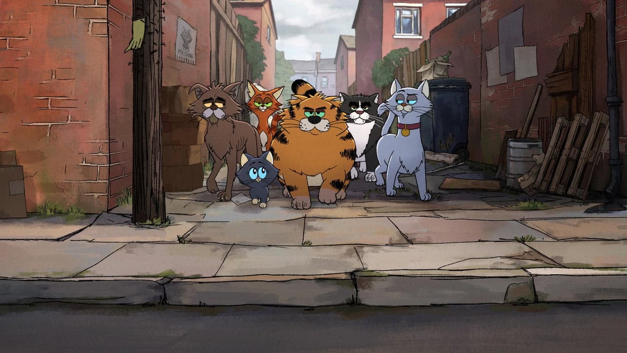 Alley Cats arka plan