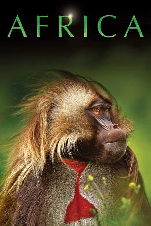 Afrika izle