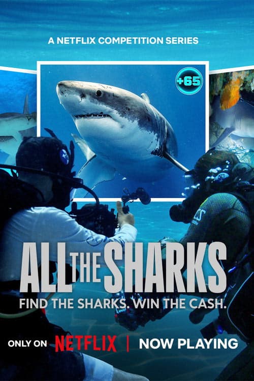 All the Sharks izle