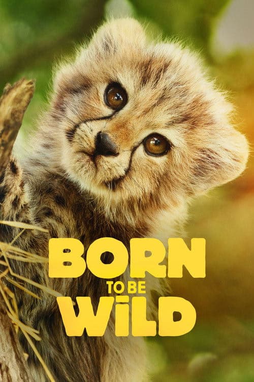 Born to Be Wild izle