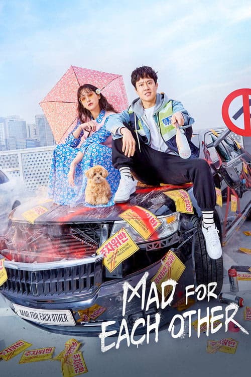 Mad for Each Other izle