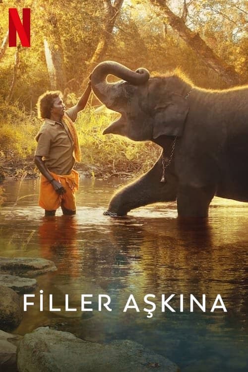 Filler Aşkına izle