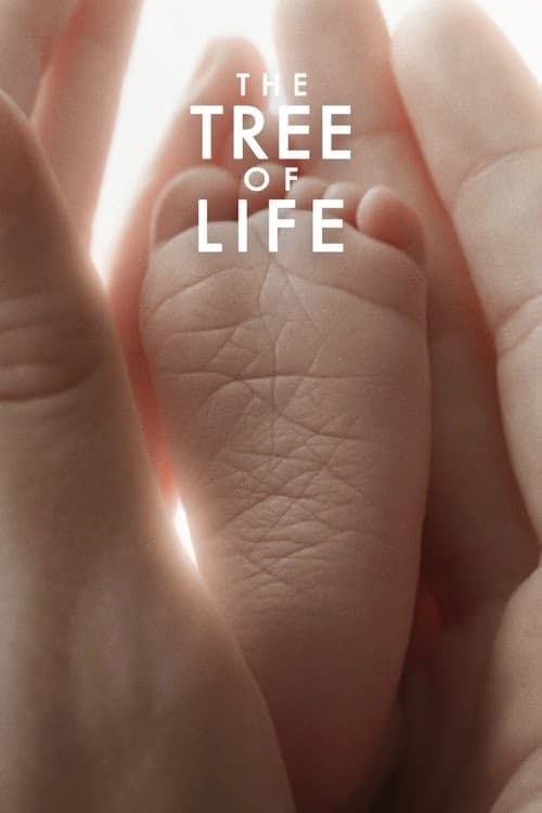 Hayat Ağacı izle