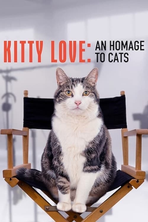 Kedi Aşkına izle